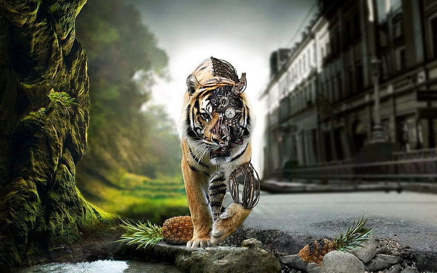 Abstract Tiger . Things I love. Tiger, Cool Abstract Animal HD wallpaper