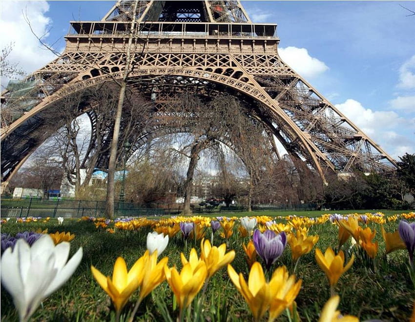 Eiffel Tower, garden, flowers, france HD wallpaper