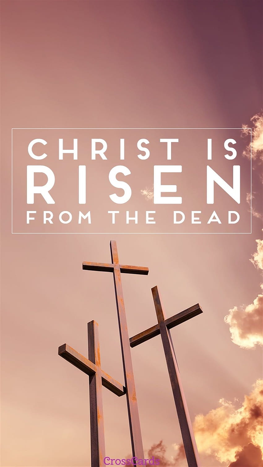 Christ is Risen - Phone and Mobile Background, He Is Risen HD phone wallpaper