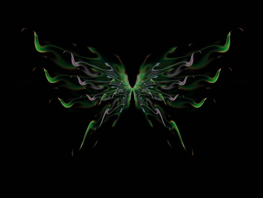 If a Peacock Had Butterfly Wings, black, dark, neon, darkness, butterfly, 3d, abstract, light, peacock HD wallpaper