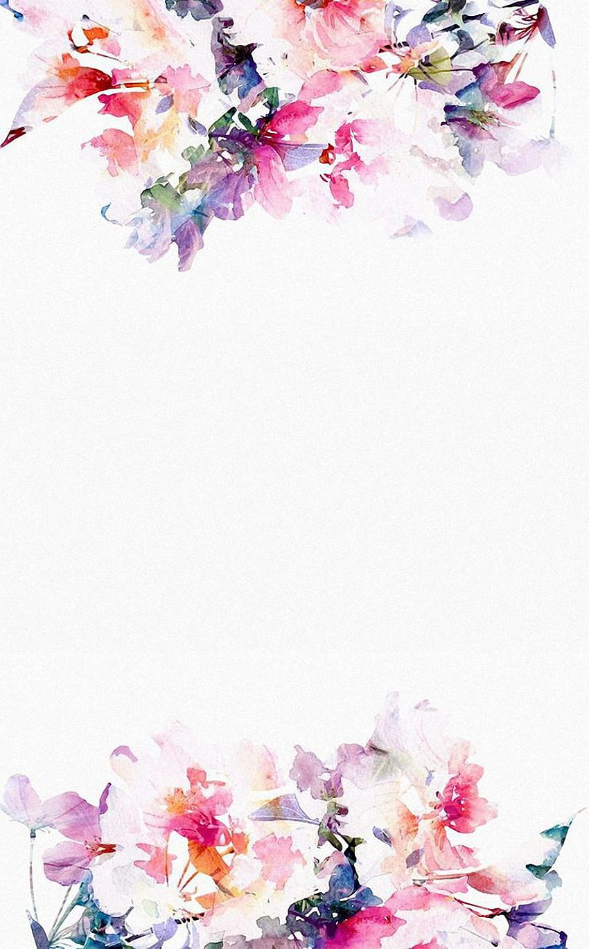 Flowers Pink White Background - Flower Border -, White Floral HD phone wallpaper