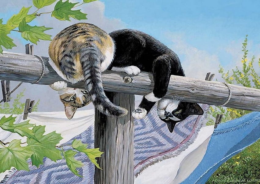 フェンスの上、アートワーク、猫、葉、絵画 高画質の壁紙