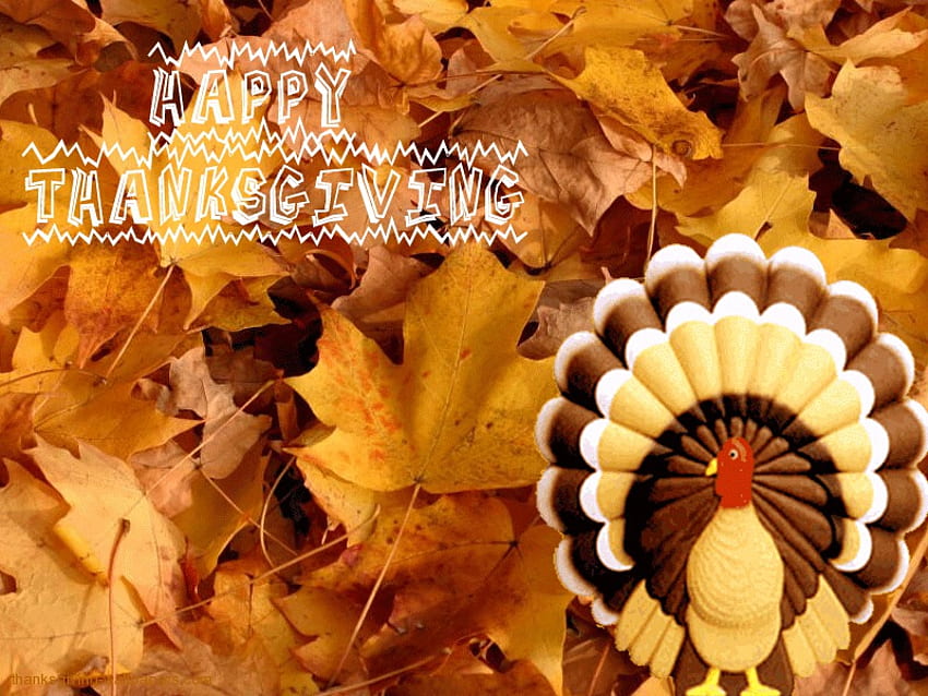 Ден на благодарността, листа, пуйка, есен HD тапет