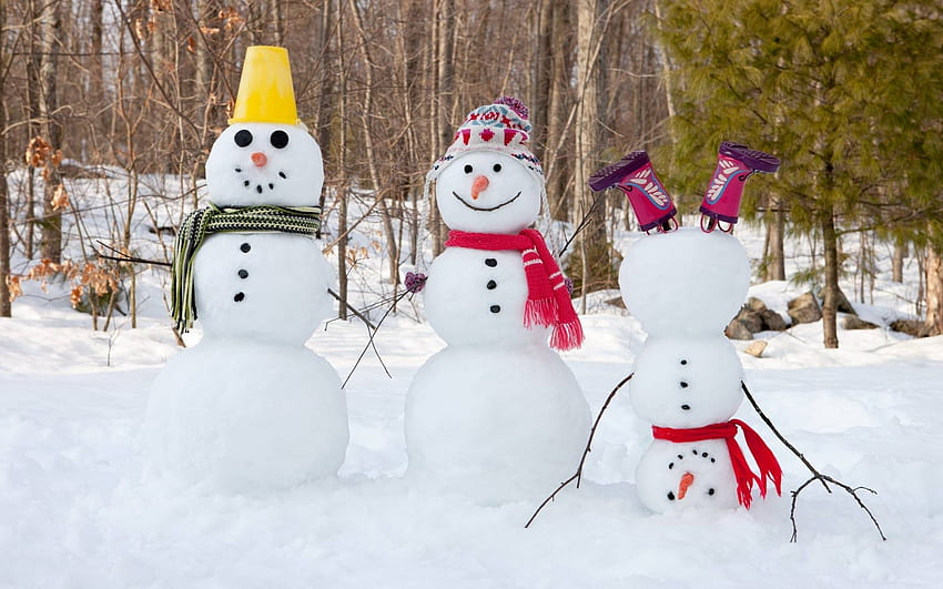 muñecos de nieve, invierno, guays, graciosas, naturaleza fondo de pantalla