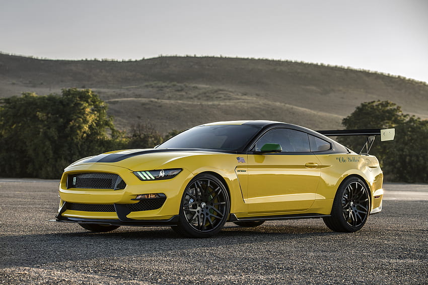Ford, Mustang, Carros, Shelby, Gt350 papel de parede HD