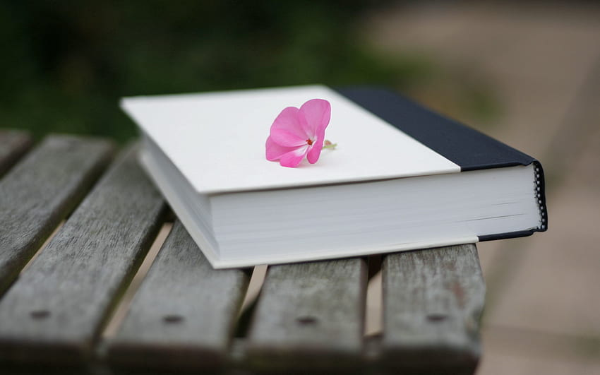 Blume, Verschiedenes, Sonstiges, Oberfläche, Buch, Stimmung HD-Hintergrundbild