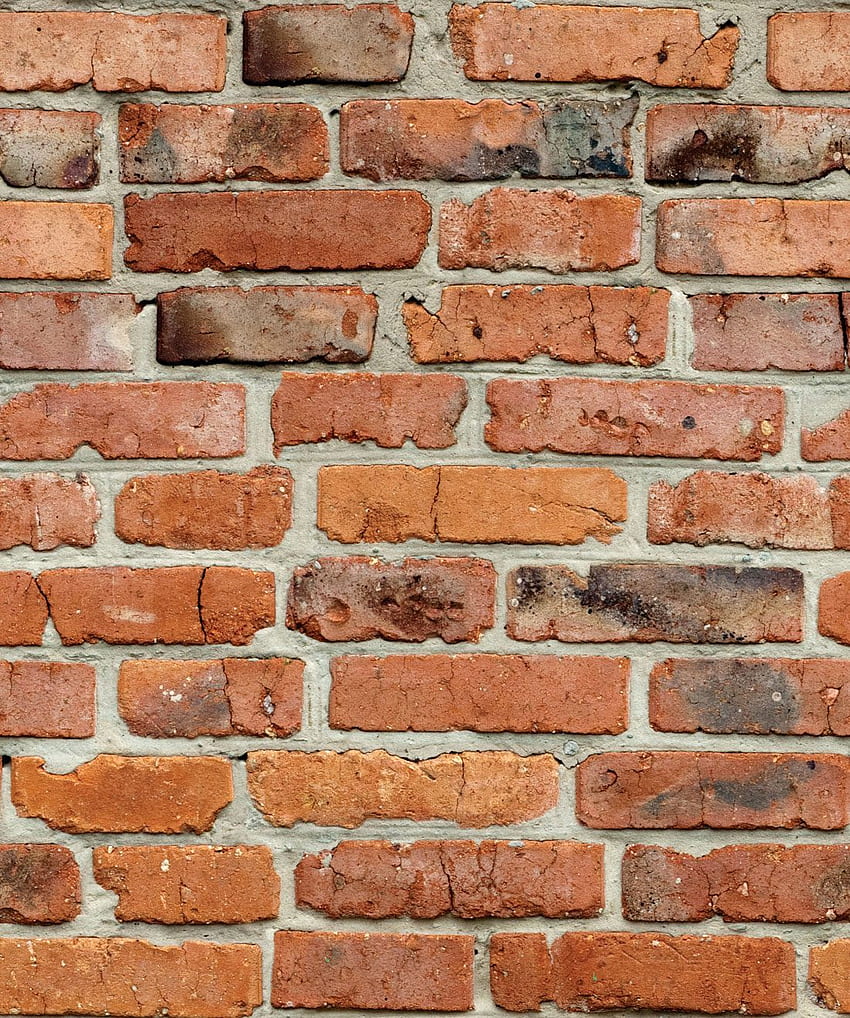 Camden Factory Bricks , Realistic Red Brick • Milton & King, Orange Brick HD phone wallpaper