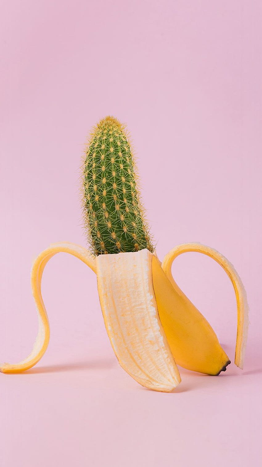 iphone Amarillo, Planta, Cactus, Calabacín, Plátano, Cucumis fondo de pantalla del teléfono