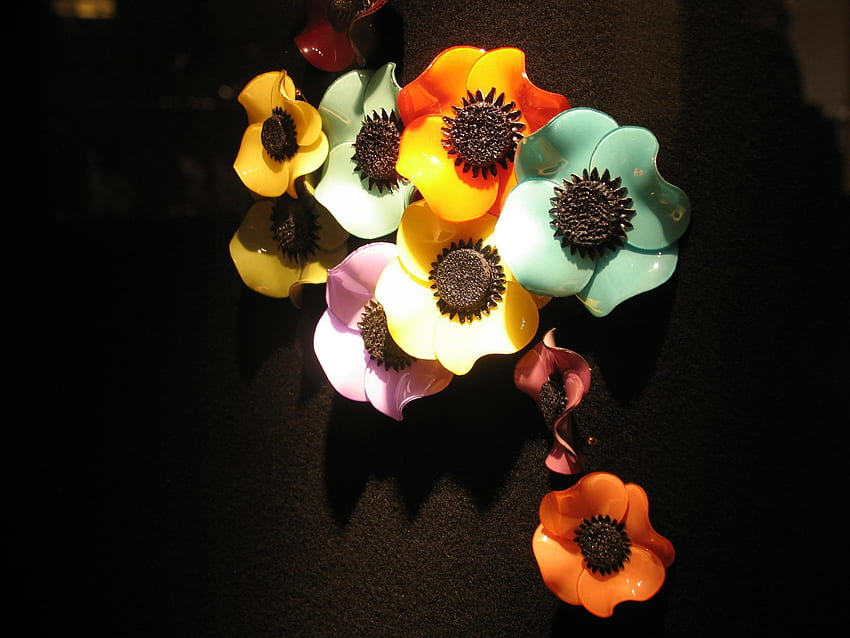 Gliniane kwiaty, czerń, grupa, kolory, piękne, kwiaty, wiązka, glina Tapeta HD