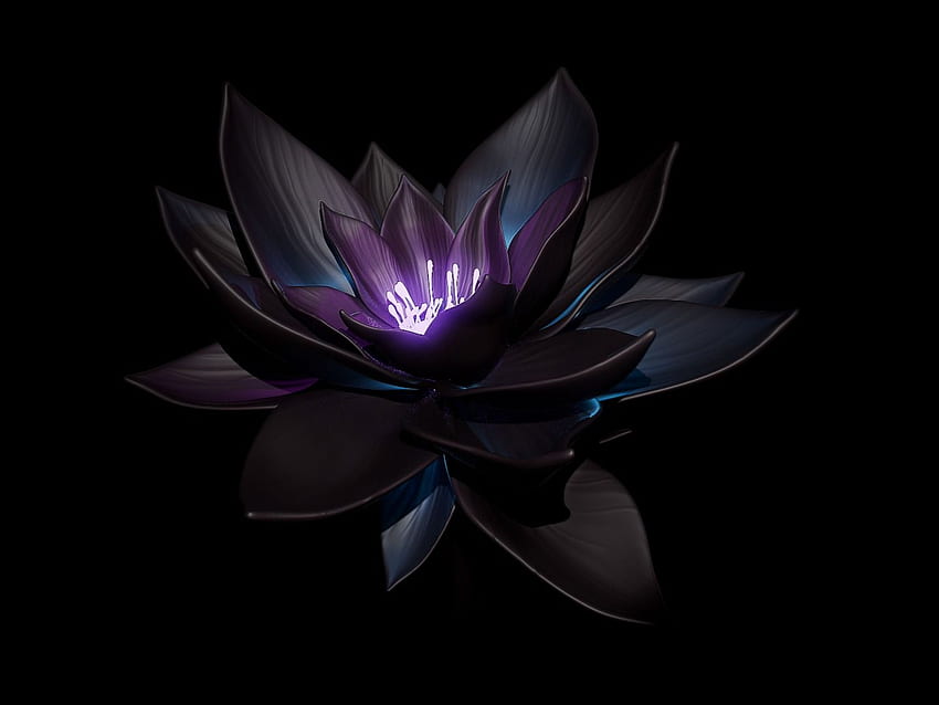 Pomysły na rośliny fantasy w 2021 roku. rośliny obce, grafika koncepcyjna środowiska, grafika koncepcyjna, kwiat czarnego lotosu Tapeta HD