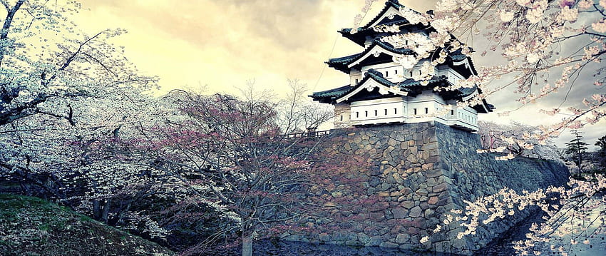 ultra wide, graphy, Japan /, Ancient Japanese HD wallpaper