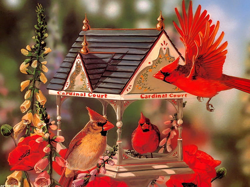Червени кардинали, птици, летящи, красиви, пролет, къщичка за птици, хубаво, лято, красиво, червено, природа, цветя, прекрасни, кардинали HD тапет