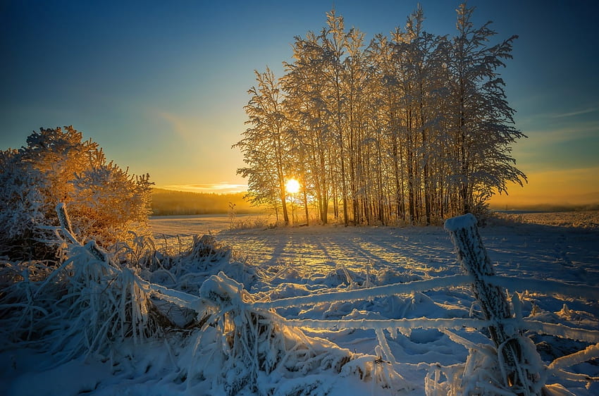 puestas de sol de invierno, invierno, naturaleza, nieve fondo de pantalla