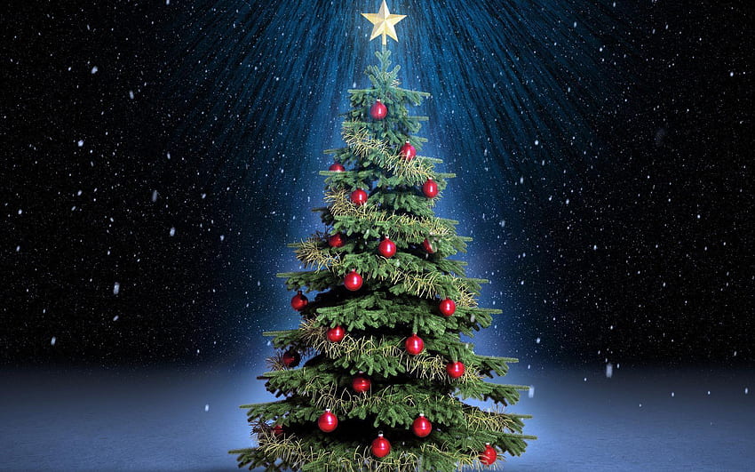 Christmas Tree Stars FullWpp - Full, Christmas Star Lights HD wallpaper