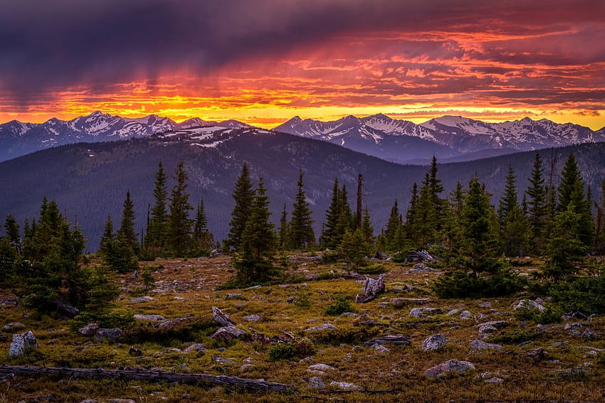 Tree-Line-Treasure, Backcountry, Rocky Mountain National Park, nuages, couleurs, ciel, montagnes, forêt Fond d'écran HD