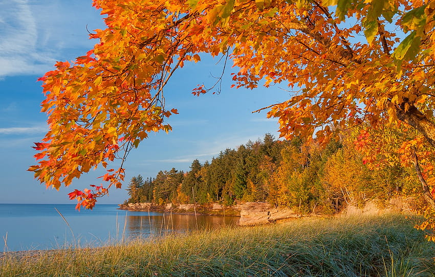 ทะเล ฤดูใบไม้ร่วง ป่า ท้องฟ้า ใบไม้ ทะเลสาป ต้นไม้ หิน ฝั่ง สาขา มิชิแกน สีแดงเข้มสำหรับ หมวด пейзажи วอลล์เปเปอร์ HD