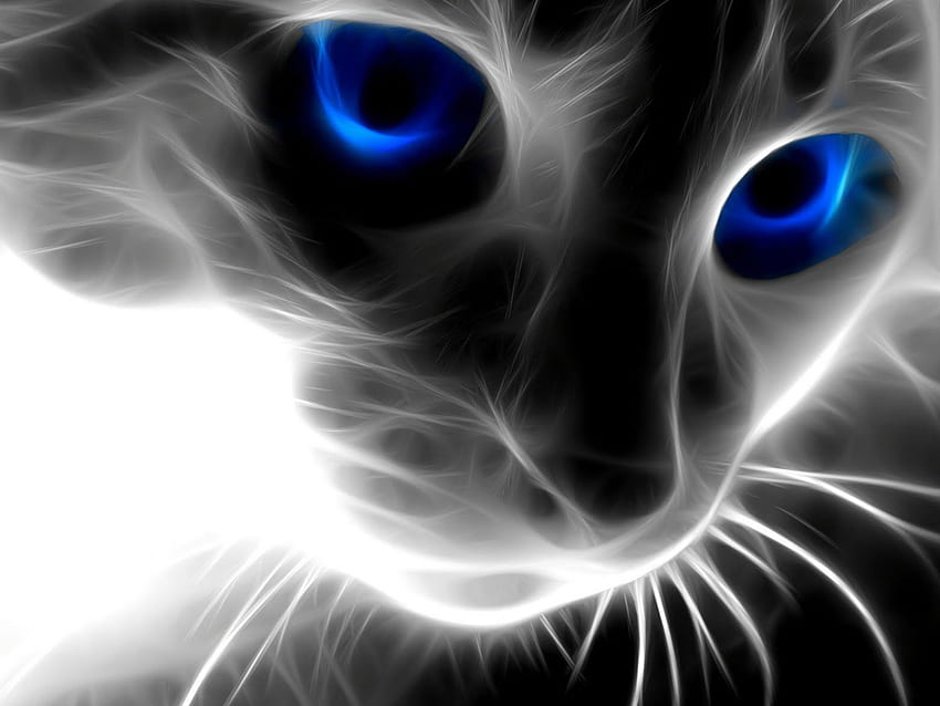 3D of dragon flying . Cat with blue eyes, Eyes , Wild cats HD wallpaper