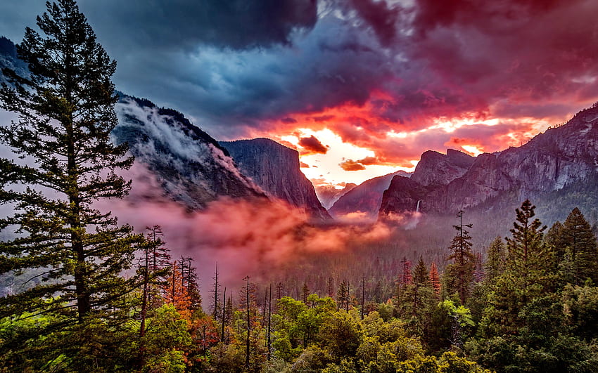 Mglisty poranek, góra, powstanie, wzgórza, ranek, piękny, wschód słońca, mgła, park narodowy, dolina, chmury, drzewa, niebo, Yosemite, zachód słońca Tapeta HD