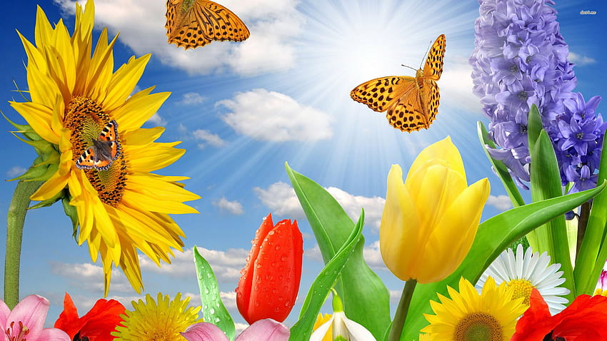 Butterfly Spring, Yellow Flowers and Butterflies HD wallpaper | Pxfuel