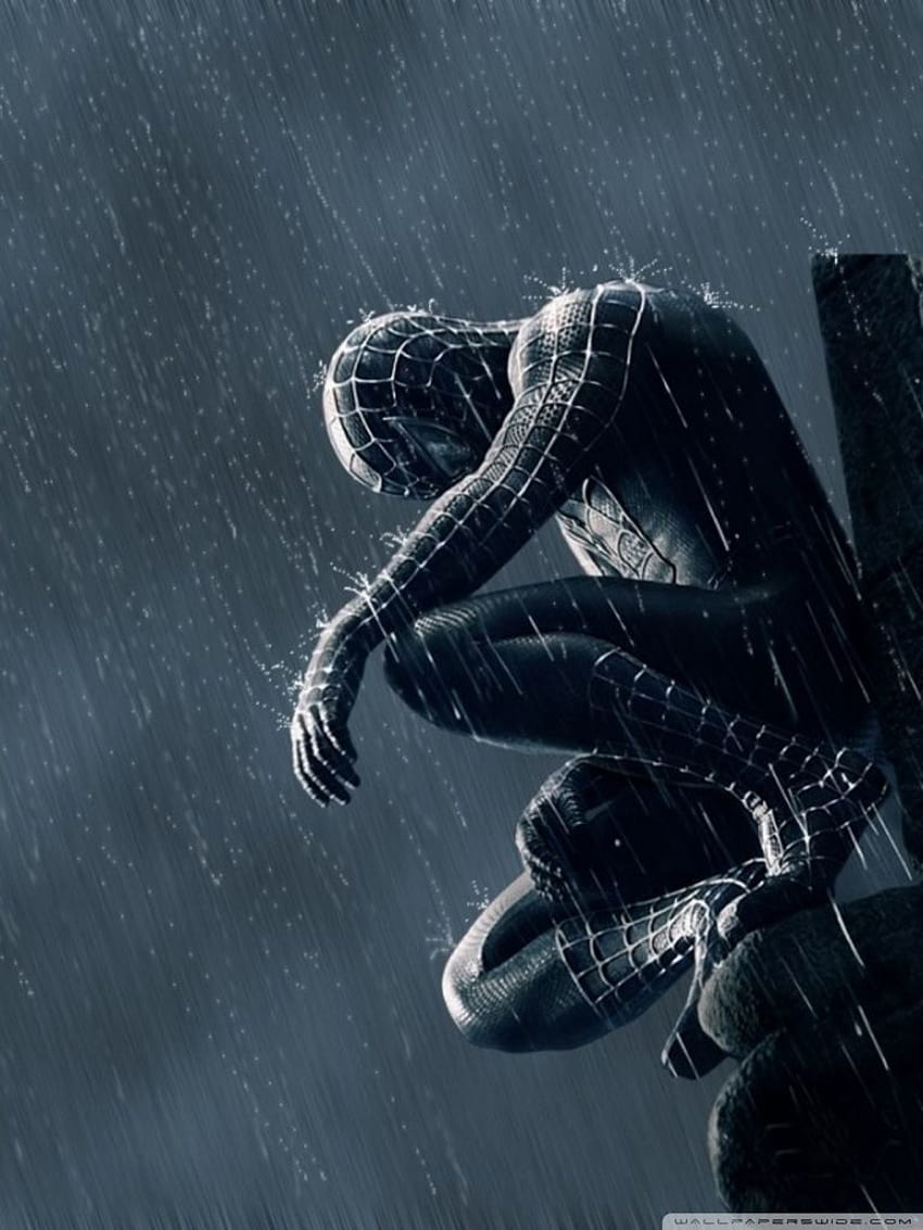Ultra TV용 Spider Man In The Rain ❤, 스파이더맨 폰 HD 전화 배경 화면