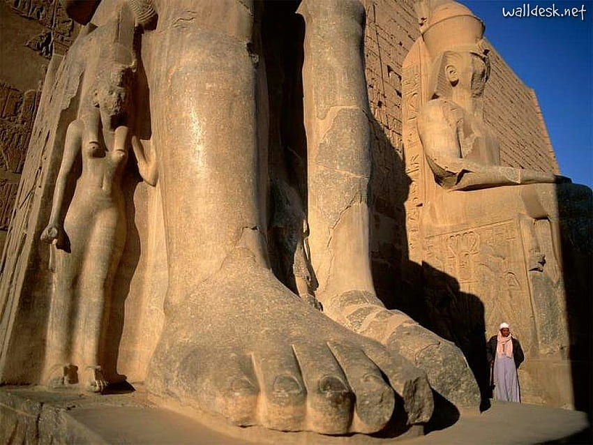 Statue of Ramses II, Luxor, Egypt HD wallpaper