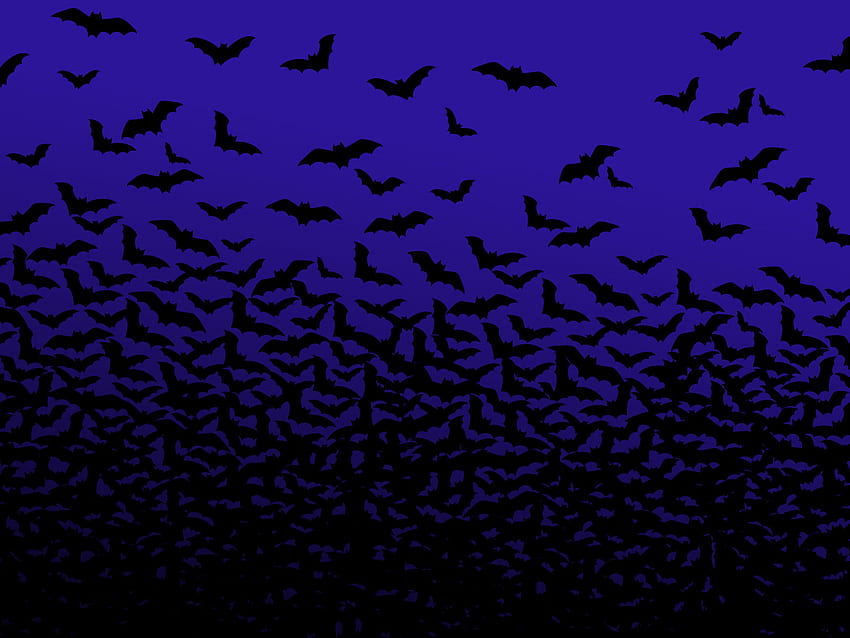 Bat and Background , Bats Flying HD wallpaper