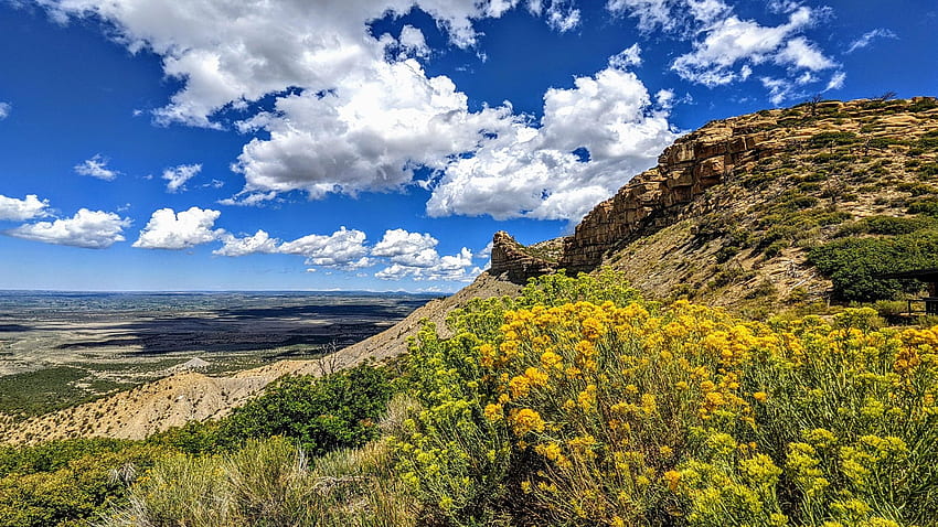 Knife's Edge, Mesa Verde National Park, Colorado, wildflowers, clouds, landscape, sky, rocks, usa HD wallpaper