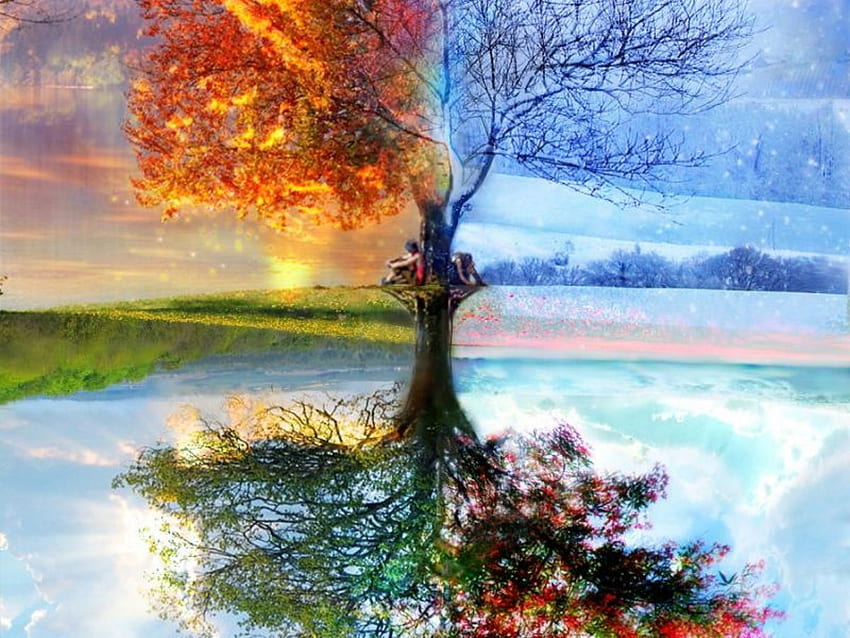 Seasons, winter, summer, abstract, autum, spring HD wallpaper