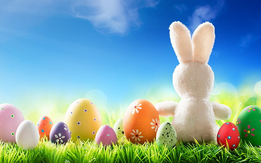 Lapin de Pâques, Pâques, herbe, oeufs, lapin, oeufs de Pâques, ciel, printemps, lapin Fond d'écran HD