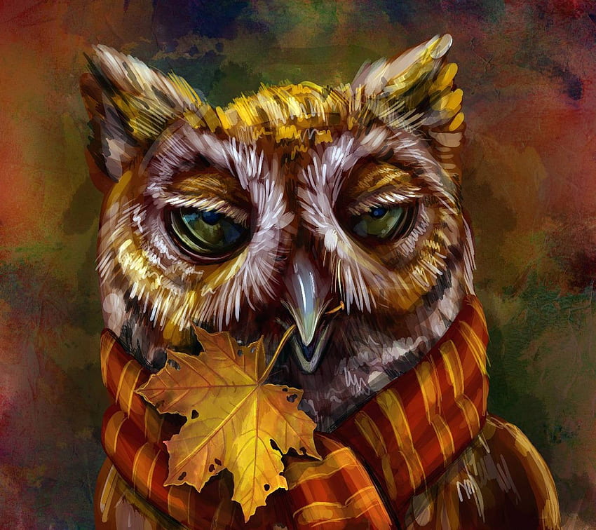 Autumn Owl, Fall Owls HD wallpaper | Pxfuel