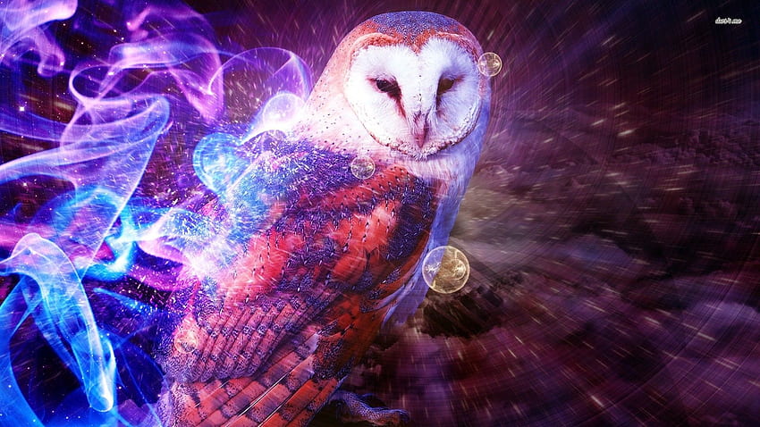 Owl - Fantasy Colorful Owl Art -, Purple Owl HD wallpaper