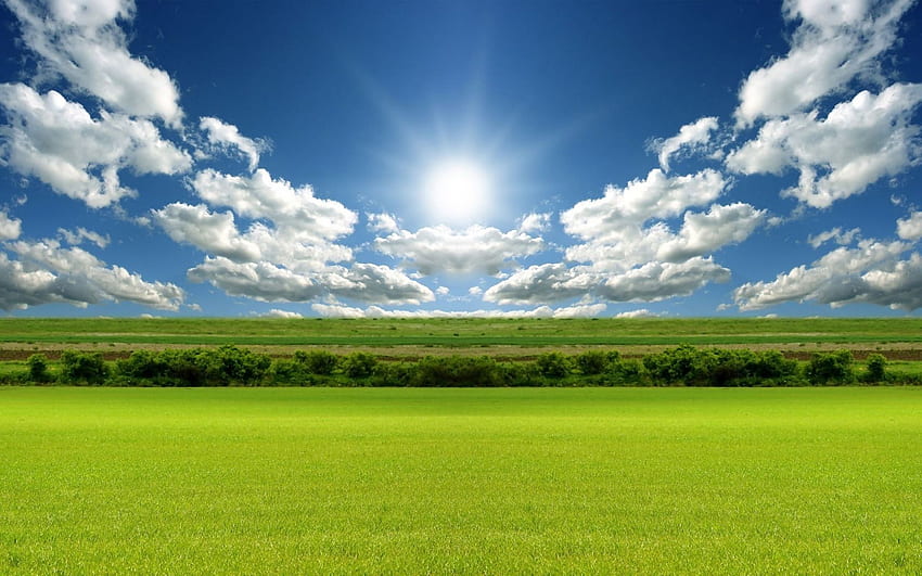 Landscape green meadow noon HD wallpaper | Pxfuel