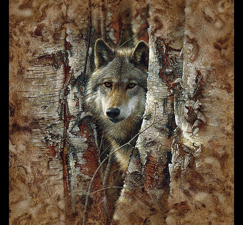 lobo espírito da floresta, animais, árvores, quente, legal, lobo papel de parede HD