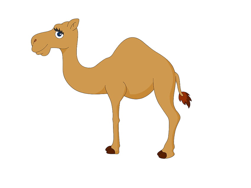 Moving Camel Clipart, Cartoon Camel HD wallpaper | Pxfuel
