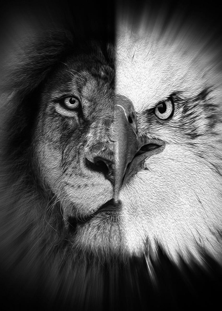 half lion half eagle b w' Poster by MK studio. Displate in 2021. Mens lion tattoo, Lion tattoo, Eagle face HD phone wallpaper