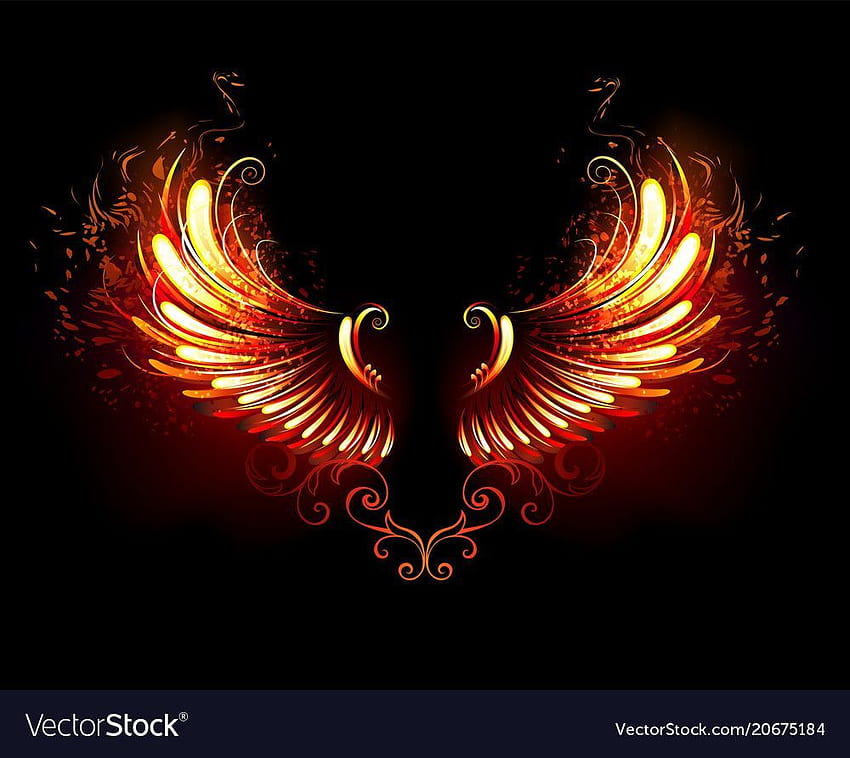 Alas de fuego y llamas sobre negro. una vista previa o Adobe Illustrator Ai de alta calidad, EPS, PDF. Wings , Wings artwork, Wings drawing fondo de pantalla