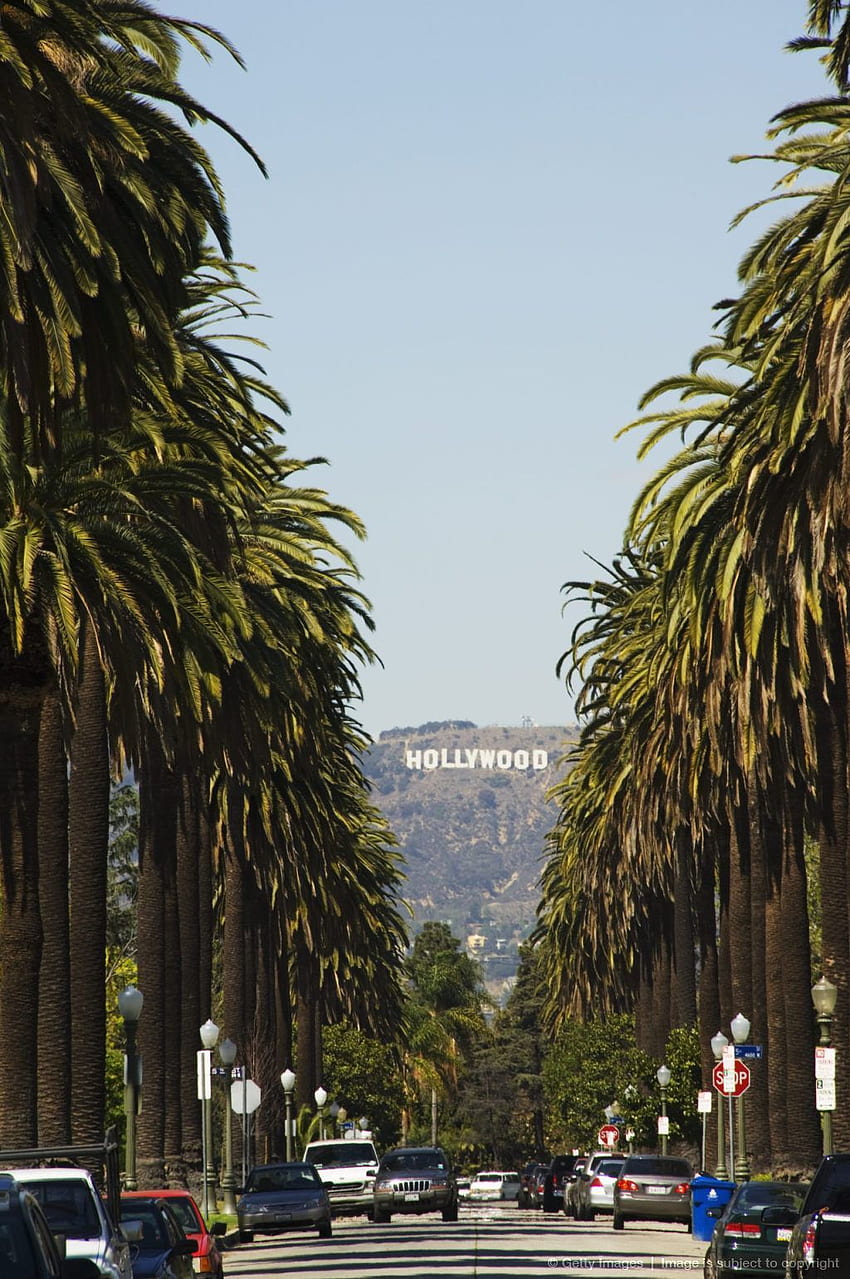 Beverly Hills , Hollywood Street HD phone wallpaper