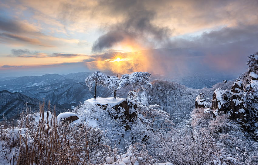 kış, güneş, bulutlar, ışınları, kar, manzara, dağlar, doğa, şafak, sabah, Güney Kore, rezerv, bölüm пейзажи, Kore Kışı HD duvar kağıdı