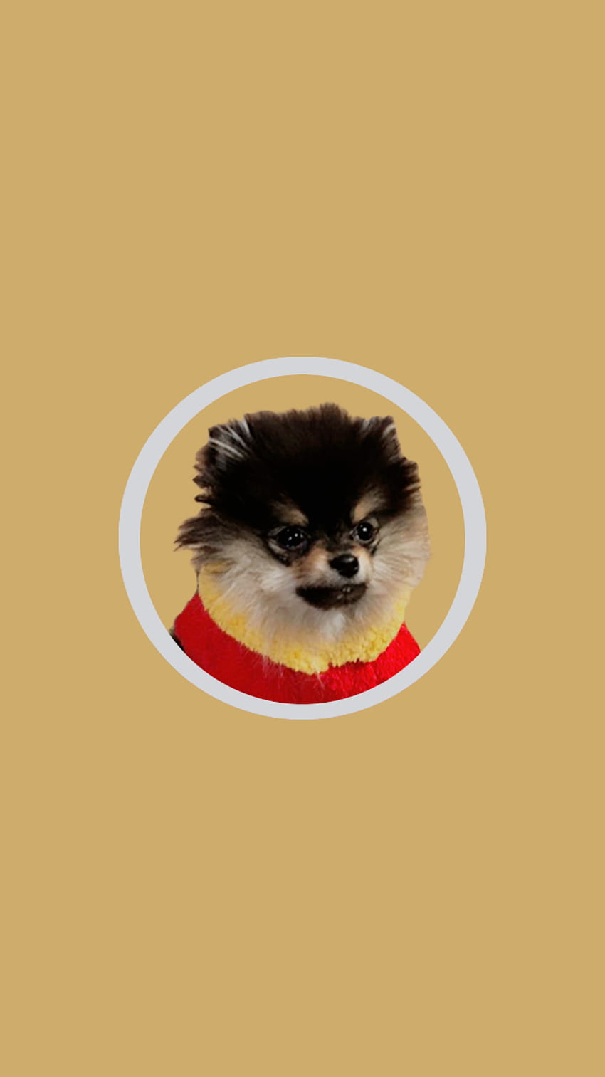 Bangtan buds net, Yeontan HD phone wallpaper | Pxfuel