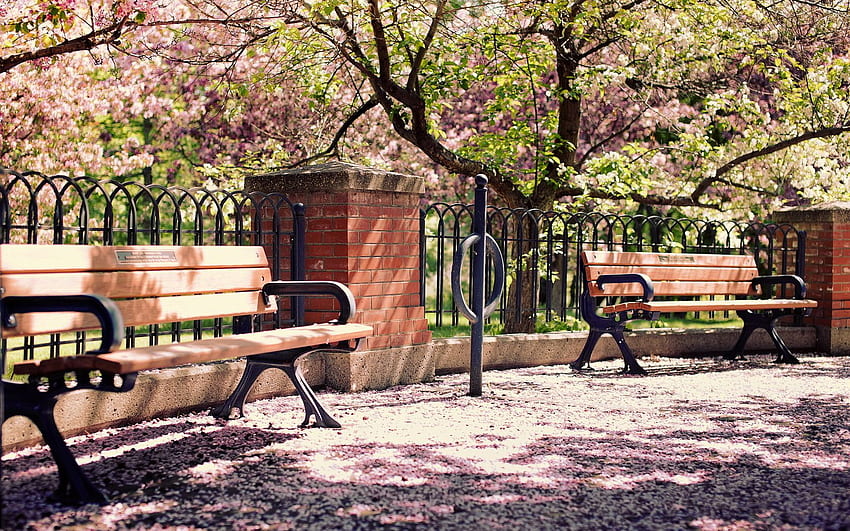 park, bench, garden, lilac, tree Other HD wallpaper