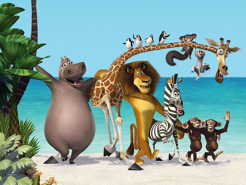 Madagaskar, Kartun, Madagaskar, Zebra . Fenix.eu Wallpaper HD