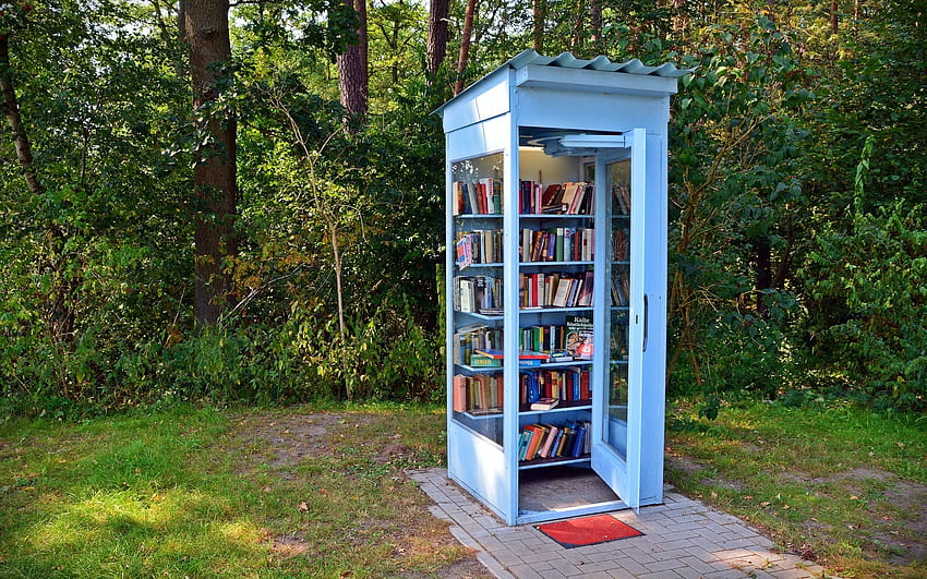 Mini Library, books, cabin, hut HD wallpaper