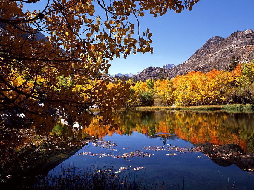 Natur, Flüsse, Bäume, Herbst, Blätter HD-Hintergrundbild