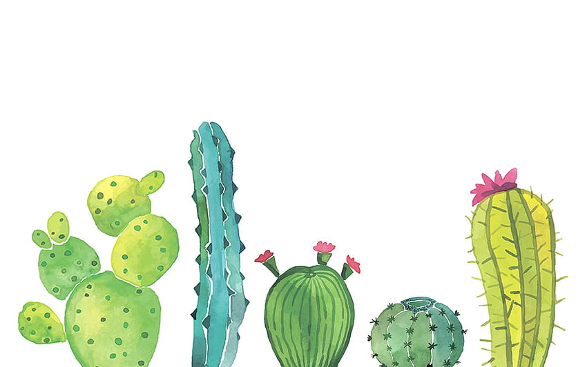 Succulente. Piante grasse, vasi di piante grasse e piante grasse ad acquerello, estetica cactus Sfondo HD