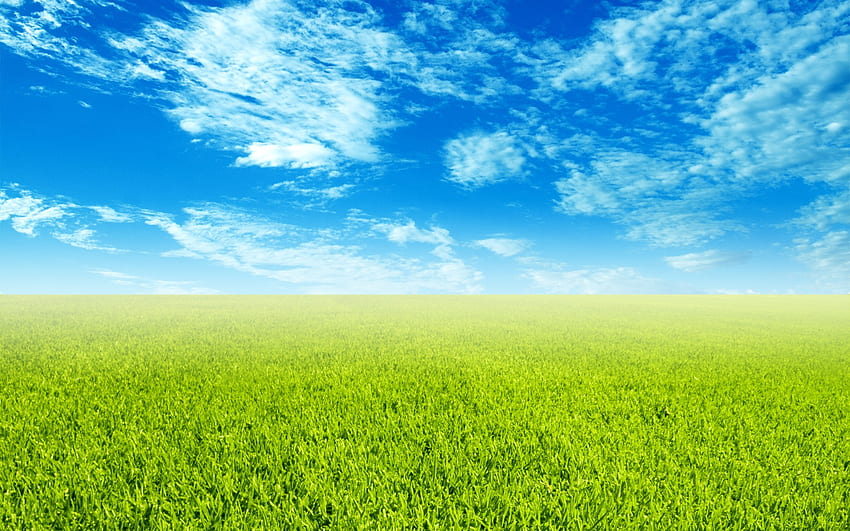 Blue sky grass fresh and pleasant countryside [] for your , Mobile & Tablet. Explore Grass and Sky . Green Grass , Grass, Plesent HD wallpaper