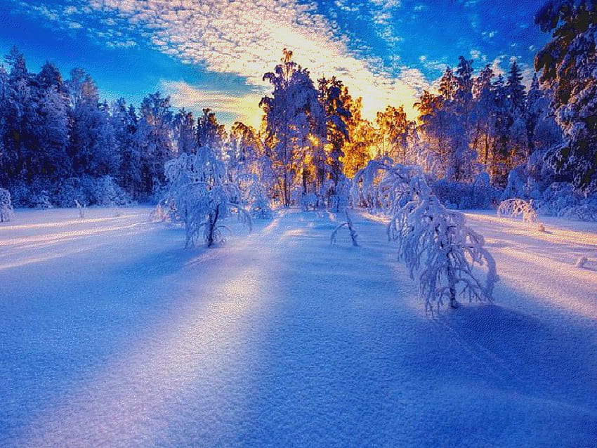 Belle journée d'hiver, hiver, beau, nature, jour Fond d'écran HD