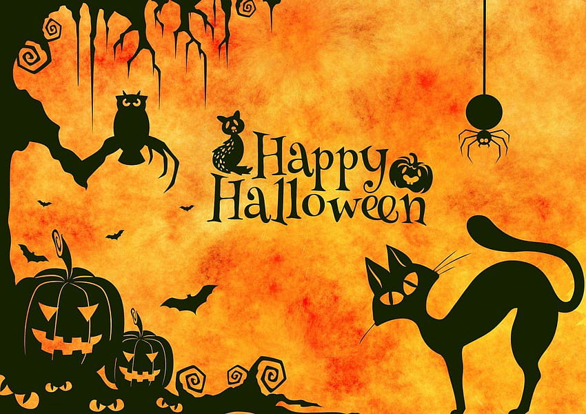 Dark cat and spiders - Happy Halloween night HD wallpaper