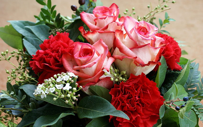 Fiori, piante, rose, bouquet Sfondo HD