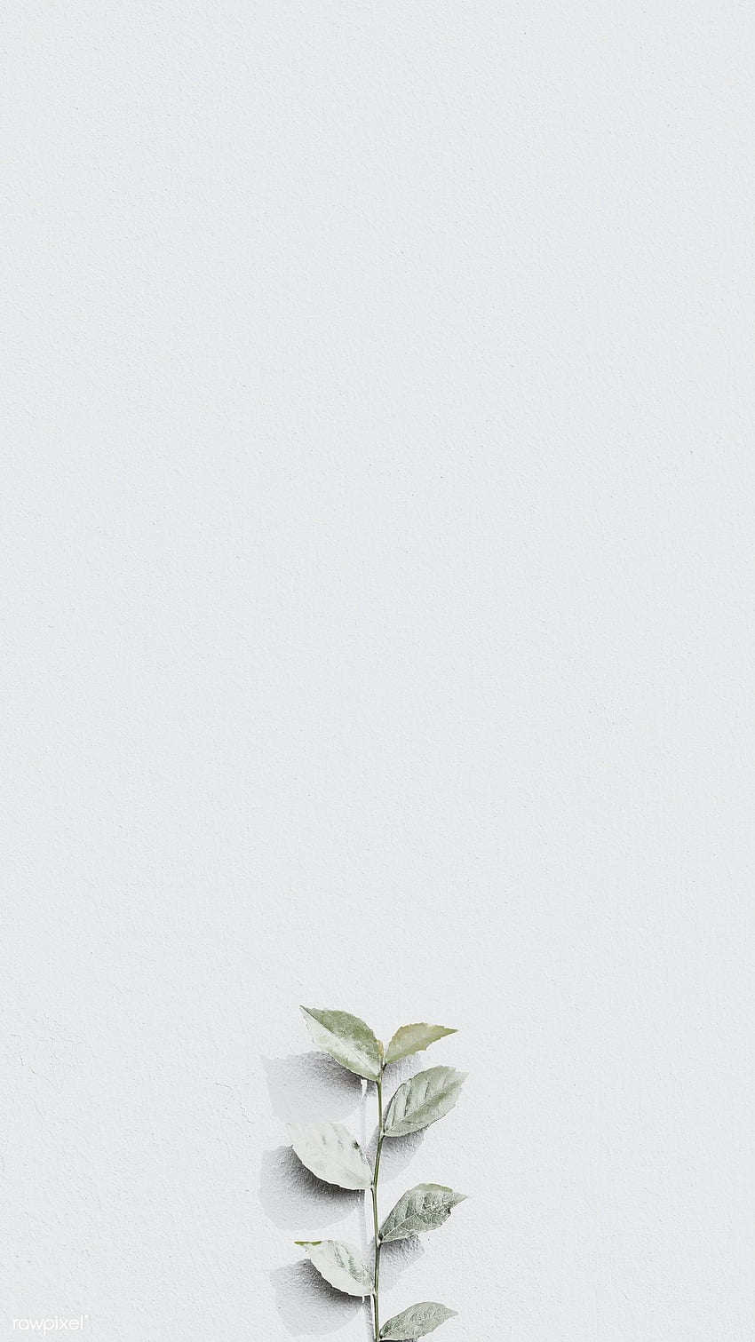 White plant branch on a gray brick wall in natural light background mobile w. White for iphone, White background , Pastel background, Gray Aesthetic HD phone wallpaper