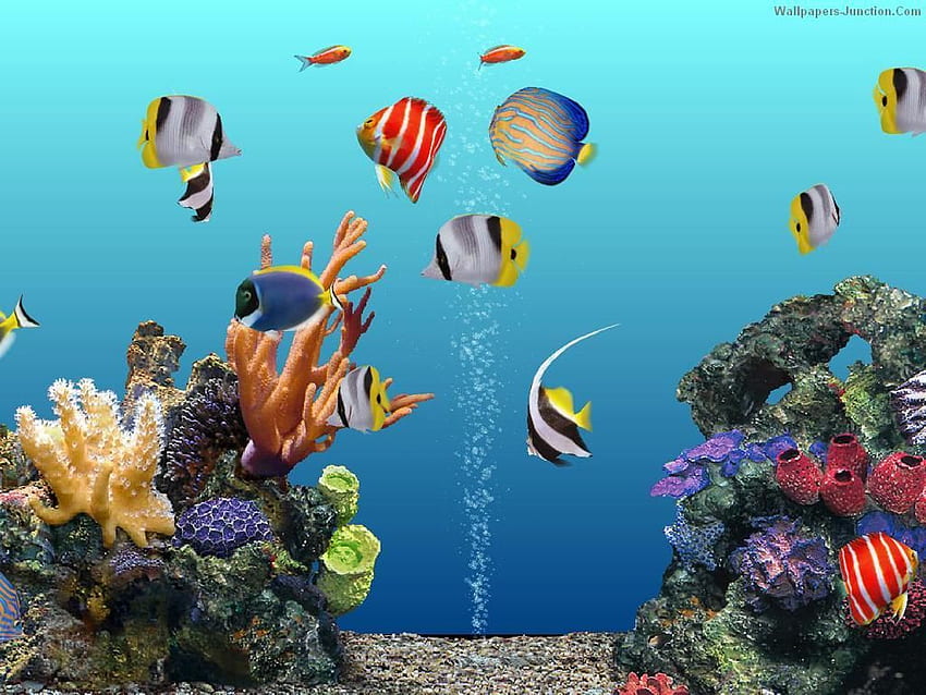 Aquarium For Windows 7 ., Cartoon Aquarium HD wallpaper | Pxfuel